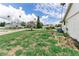 Front yard view showing the landscape with mature trees and greenery near street at 1580 Arizona Ave Ne, St Petersburg, FL 33703
