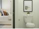 Neutral half bath with a toilet, sink, mirror and soothing paint color at 31616 Cardinal Yard Dr, San Antonio, FL 33576