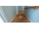 Light staircase features hardwood stairs, and a light blue wall color at 3516 W Santiago St, Tampa, FL 33629