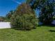 Expansive backyard with lush greenery, a privacy fence, and a shade tree creating a relaxing outdoor space at 37153 Mcminn Ave, Dade City, FL 33525