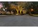 Charming neighborhood street with mature trees adorned with lights, enhancing the community's ambiance at 3772 Woodridge Pl, Palm Harbor, FL 34684