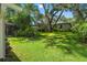 Expansive backyard features lush greenery, mature trees and a screened-in pool area at 39 Bishop Creek Dr, Safety Harbor, FL 34695