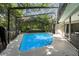 Screened-in pool with clear blue water, surrounded by lush landscaping at 39 Bishop Creek Dr, Safety Harbor, FL 34695