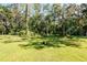 Large, grassy backyard with mature trees, offering plenty of space for outdoor activities and enjoyment at 604 Kinnear Dr, Brooksville, FL 34601