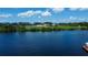 Aerial view of river, with boats docked, surrounded by trees and cityscape in the distance at 2205 N Riverside Dr, Tampa, FL 33602