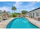 Beautiful backyard with a sparkling pool, paver patio, lounge chairs, and mature trees providing shade and privacy at 2205 N Riverside Dr, Tampa, FL 33602