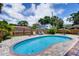 Backyard pool surrounded by a paver patio, lush landscaping, and a wooden fence for privacy, under a bright blue sky at 2205 N Riverside Dr, Tampa, FL 33602