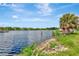 Picturesque waterfront view with calm waters and a palm tree-lined shoreline at 2205 N Riverside Dr, Tampa, FL 33602