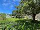 Beautiful backyard with lush green grass, mature trees, and well-maintained landscaping at 2256 Philippine Dr # 24, Clearwater, FL 33763
