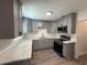 Updated kitchen features gray cabinetry, stainless steel appliances, quartz countertops and wood grain vinyl flooring at 8018 Mulberry St, Tampa, FL 33604