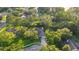 Aerial view of a home nestled among mature trees and lush greenery at 803 Brooker Village Cir, Lutz, FL 33548