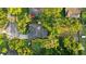 Aerial view of a home with mature trees, a pool, and a well-kept lawn at 803 Brooker Village Cir, Lutz, FL 33548