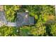 Aerial view of a home with a screened-in pool, lush landscaping and mature trees at 803 Brooker Village Cir, Lutz, FL 33548