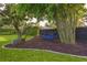 Serene backyard featuring a hammock under bamboo trees, providing a peaceful retreat in nature at 803 Brooker Village Cir, Lutz, FL 33548