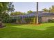Large backyard featuring a screened-in pool, lush landscaping, and a well-manicured lawn at 803 Brooker Village Cir, Lutz, FL 33548