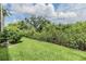 Backyard featuring luscious green grass and extensive shrubbery at 900 Cove Cay Dr # 1B, Clearwater, FL 33760