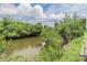 Backyard featuring luscious green grass and thick trees and shrubs at 900 Cove Cay Dr # 1B, Clearwater, FL 33760