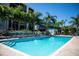 Beautiful, inviting pool with lounge chairs and palm trees at 900 Cove Cay Dr # 1B, Clearwater, FL 33760