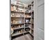 Walk-in pantry featuring extensive shelving for organized food storage, keeping the kitchen clutter-free at 12826 French Market Dr, Riverview, FL 33579