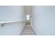 Carpeted staircase with white walls leads to the upper level of the home at 15505 Wicked Strong St, Sun City Center, FL 33573