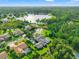 Beautiful aerial view of the area, showing homes surrounded by lush greenery, a large lake, and serene landscapes at 17311 Carriage Way, Odessa, FL 33556
