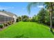 Green backyard featuring manicured grass, landscaping and screened-in patio with home at 17311 Carriage Way, Odessa, FL 33556