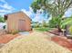 Backyard featuring a shed, rock landscaping, palm trees, and grass lawn at 3304 Alamar St, Lutz, FL 33558