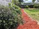 Beautifully landscaped yard with healthy bushes, red mulch and lawn at 3304 Alamar St, Lutz, FL 33558