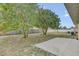 Backyard features mature trees, a concrete patio, and partial fencing at 10437 River Bream Dr, Riverview, FL 33569