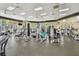 Well-equipped fitness center with modern exercise machines and plenty of space for a complete workout at 11002 Sundrift Dr, Tampa, FL 33647