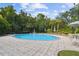 Inviting community pool with lounge chairs and umbrellas, perfect for relaxation and recreation at 11002 Sundrift Dr, Tampa, FL 33647