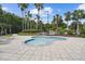 pool with zero entry, surrounded by lounge chairs and mature landscaping at 11002 Sundrift Dr, Tampa, FL 33647