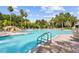 Large, inviting swimming pool with accessible stairs and brick paver deck, surrounded by tropical landscaping at 11002 Sundrift Dr, Tampa, FL 33647