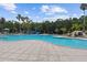 Large community pool features a slide and waterfall feature, surrounded by palm trees and lush greenery at 11002 Sundrift Dr, Tampa, FL 33647