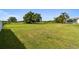 Vast grassy backyard with scattered trees provides a serene and spacious outdoor environment at 1109 Colson Rd, Plant City, FL 33567