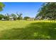 Wide open backyard view showing a large lawn and a glimpse of the house and its surroundings at 1109 Colson Rd, Plant City, FL 33567
