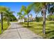 Long driveway leading to a beautiful home with mature palm trees and a well-maintained lawn at 1109 Colson Rd, Plant City, FL 33567