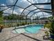 Stunning screened pool area with a uniquely shaped pool, lush landscaping, and charming outdoor lights at 11219 Paddock Manor Ave, Riverview, FL 33569