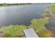 Elevated view of a dock area on a lake with lily pads, leading out to the open water at 11308 Chilly Water Ct, Riverview, FL 33569