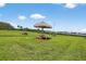 Community picnic area with thatched umbrella and an American Flag at 12760 Indian Rocks Rd # 1049, Largo, FL 33774