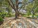 Spacious backyard oasis with a stone patio, mature trees, lush landscaping, and outdoor seating areas at 18803 Misty Shores Ln, Lutz, FL 33548
