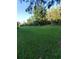 Large grassy backyard with mature trees, offering privacy and ample space for recreation at 19239 Stone Hedge Dr, Tampa, FL 33647