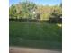 Large, private backyard with lush green grass, perfect for outdoor activities and relaxation at 19239 Stone Hedge Dr, Tampa, FL 33647