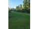 Expansive green backyard with lush lawn and a privacy fence, offering serene outdoor space at 19239 Stone Hedge Dr, Tampa, FL 33647