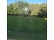 Backyard view overlooking a lush green lawn and a dense forest beyond at 19239 Stone Hedge Dr, Tampa, FL 33647