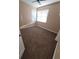 Carpeted bedroom featuring neutral walls and natural light from windows at 19239 Stone Hedge Dr, Tampa, FL 33647