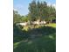 Scenic view of a community playground with mature trees and lush greenery at 19239 Stone Hedge Dr, Tampa, FL 33647