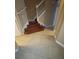 Elegant wooden staircase with white railings, blending classic style with modern comfort at 19239 Stone Hedge Dr, Tampa, FL 33647
