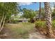 Expansive backyard showcasing mature trees and an outdoor playset visible through the surrounding foliage at 3108 S Omar Ave, Tampa, FL 33629