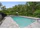 Backyard in-ground pool with patio furniture and a privacy fence with trees in the background at 4148 Gauge Line Loop, Tampa, FL 33624